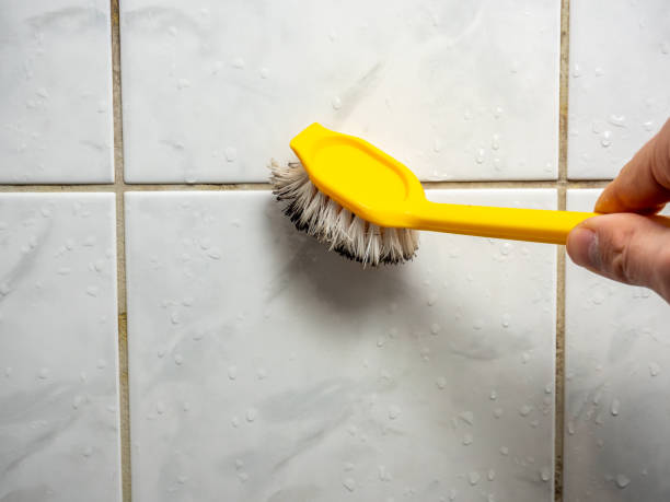 Best Certified Mold Removal  in Riesel, TX