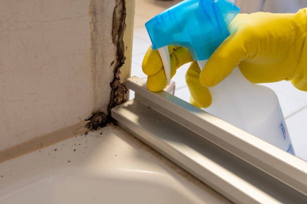Best Emergency Mold Removal  in Riesel, TX