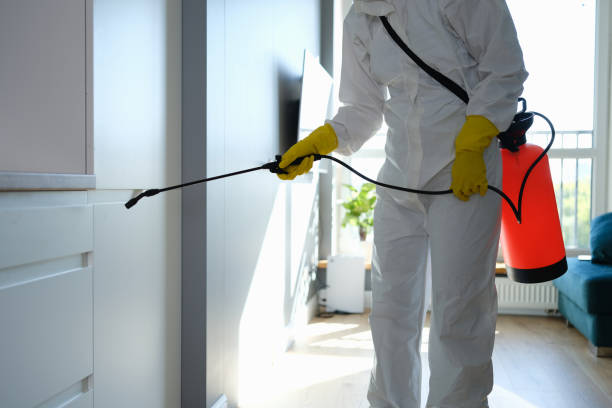 Best Professional Mold Removal  in Riesel, TX